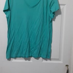 2 T-shirts for 7 dollars Classic V-Neck Women's Tee in Teal